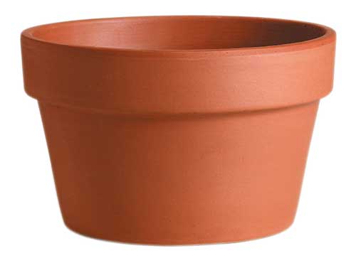 Terracotta Azalea Pot